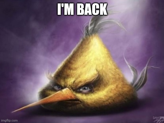 BTW I just got shirt that says born to shit forces to wipe | I'M BACK | image tagged in born to shit forced ti wipe | made w/ Imgflip meme maker