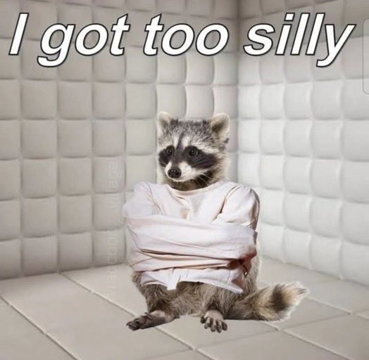 High Quality Silly raccoon Blank Meme Template