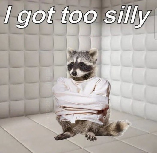 Silly raccoon Blank Meme Template