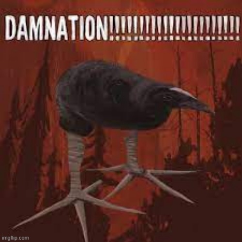 Damn Bird | image tagged in damn bird | made w/ Imgflip meme maker