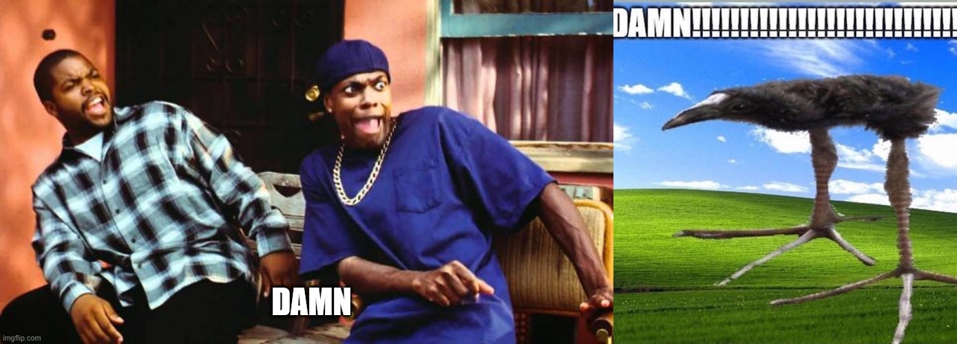 Borb | DAMN | made w/ Imgflip meme maker