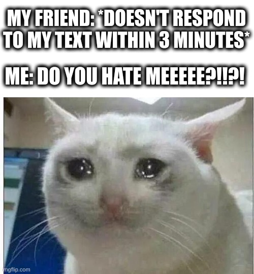 I overthink things :) | MY FRIEND: *DOESN'T RESPOND TO MY TEXT WITHIN 3 MINUTES*; ME: DO YOU HATE MEEEEE?!!?! | image tagged in crying cat | made w/ Imgflip meme maker