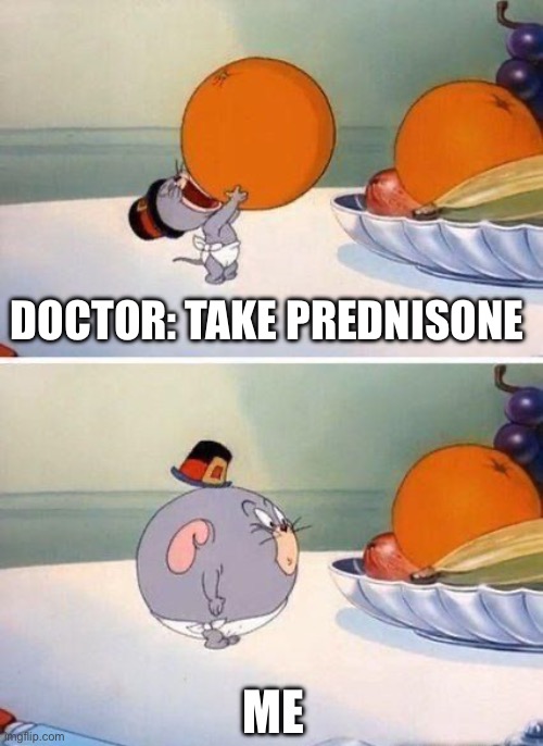Happy Weightsgiving | DOCTOR: TAKE PREDNISONE; ME | image tagged in nibbles eat whole orange,illness,sickness,sick,steroids | made w/ Imgflip meme maker