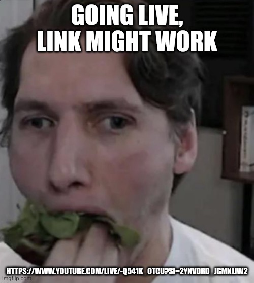 I'm an introvert with anxiety so don't expect anything great, also my first livestream | GOING LIVE, LINK MIGHT WORK; HTTPS://WWW.YOUTUBE.COM/LIVE/-Q541K_OTCU?SI=2YNVDRD_JGMNJJW2 | image tagged in jerma eating lettuce | made w/ Imgflip meme maker