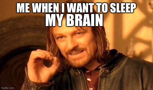 One Does Not Simply | ME WHEN I WANT TO SLEEP; MY BRAIN | image tagged in memes,one does not simply | made w/ Imgflip meme maker