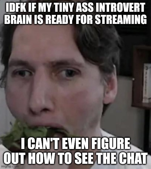 Jerma eating Lettuce | IDFK IF MY TINY ASS INTROVERT BRAIN IS READY FOR STREAMING; I CAN'T EVEN FIGURE OUT HOW TO SEE THE CHAT | image tagged in jerma eating lettuce | made w/ Imgflip meme maker