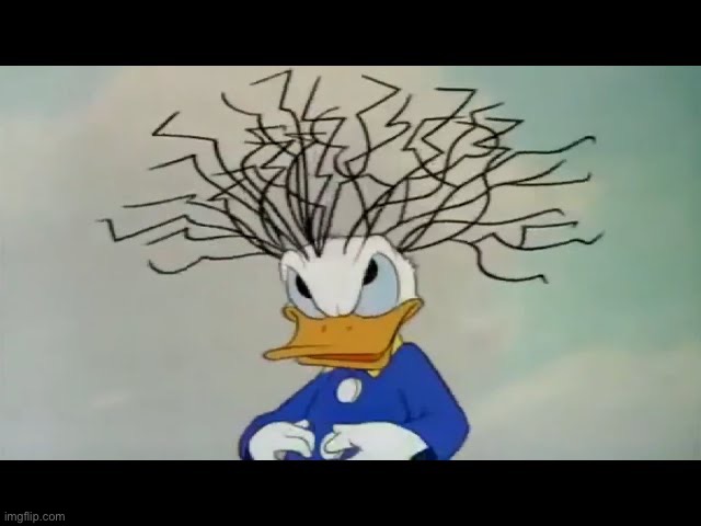 image tagged in donald duck | made w/ Imgflip meme maker