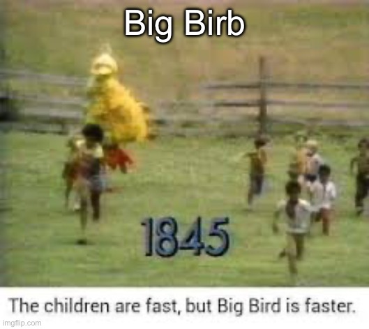 Big Bird is faster | Big Birb | image tagged in big bird is faster | made w/ Imgflip meme maker
