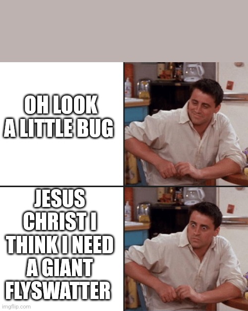 Joey Friends | OH LOOK A LITTLE BUG JESUS CHRIST I THINK I NEED A GIANT FLYSWATTER | image tagged in joey friends | made w/ Imgflip meme maker