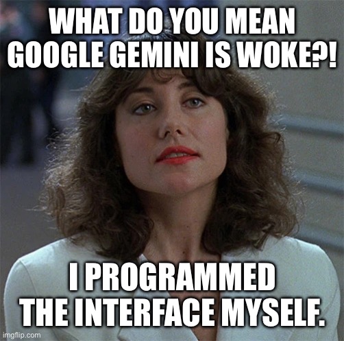 Google Gemini Programmer | WHAT DO YOU MEAN GOOGLE GEMINI IS WOKE?! I PROGRAMMED THE INTERFACE MYSELF. | image tagged in juliette faxx | made w/ Imgflip meme maker