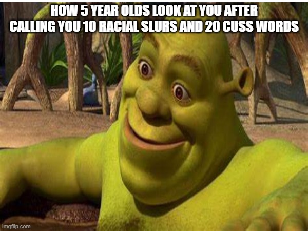 HOW 5 YEAR OLDS LOOK AT YOU AFTER CALLING YOU 10 RACIAL SLURS AND 20 CUSS WORDS | image tagged in shrek | made w/ Imgflip meme maker