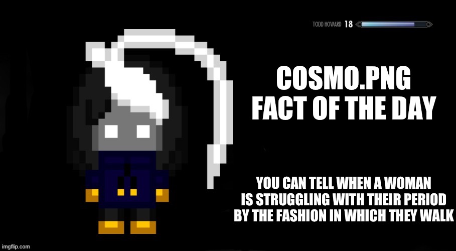 Blursed fact frfr | COSMO.PNG FACT OF THE DAY; YOU CAN TELL WHEN A WOMAN IS STRUGGLING WITH THEIR PERIOD BY THE FASHION IN WHICH THEY WALK | image tagged in cosmo png skyrim tips | made w/ Imgflip meme maker