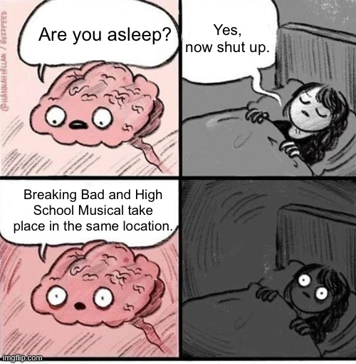 Good luck sleeping | Yes, now shut up. Are you asleep? Breaking Bad and High School Musical take place in the same location. | image tagged in trying to sleep,breaking bad,realization | made w/ Imgflip meme maker