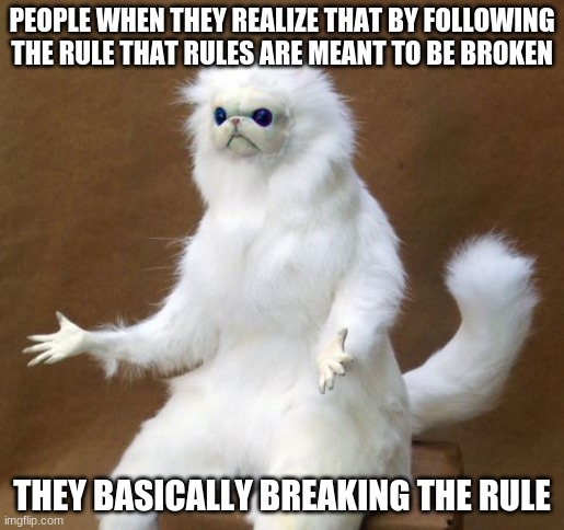 boi | PEOPLE WHEN THEY REALIZE THAT BY FOLLOWING THE RULE THAT RULES ARE MEANT TO BE BROKEN; THEY BASICALLY BREAKING THE RULE | image tagged in persian white monkey | made w/ Imgflip meme maker