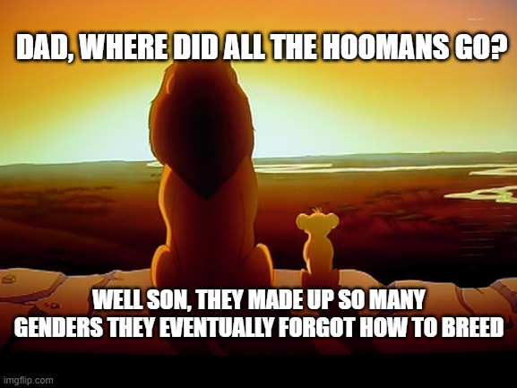 Lion King | DAD, WHERE DID ALL THE HOOMANS GO? WELL SON, THEY MADE UP SO MANY GENDERS THEY EVENTUALLY FORGOT HOW TO BREED | image tagged in memes,lion king | made w/ Imgflip meme maker