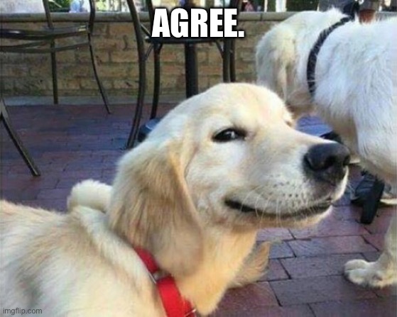 dog smiling | AGREE. | image tagged in dog smiling | made w/ Imgflip meme maker