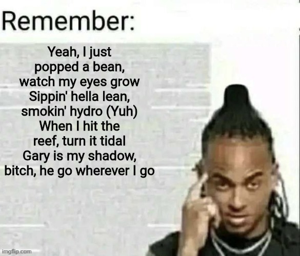 Remember | Yeah, I just popped a bean, watch my eyes grow
Sippin' hella lean, smokin' hydro (Yuh)
When I hit the reef, turn it tidal
Gary is my shadow, bitch, he go wherever I go | image tagged in remember | made w/ Imgflip meme maker