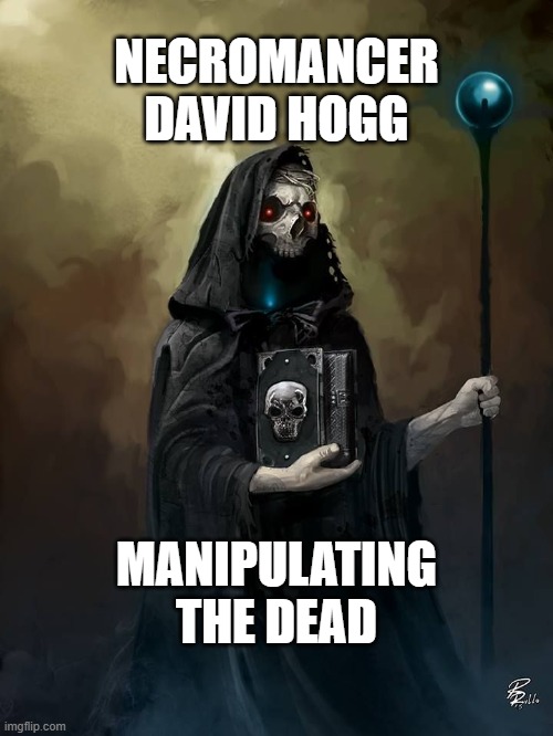 David Hogg Necromancer | NECROMANCER DAVID HOGG; MANIPULATING THE DEAD | image tagged in david hogg necromancer | made w/ Imgflip meme maker