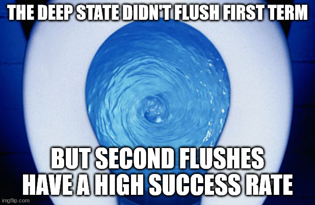 Second Amendment plunger ready. | THE DEEP STATE DIDN'T FLUSH FIRST TERM; BUT SECOND FLUSHES HAVE A HIGH SUCCESS RATE | image tagged in toilet flushing,plunger,second amendment | made w/ Imgflip meme maker