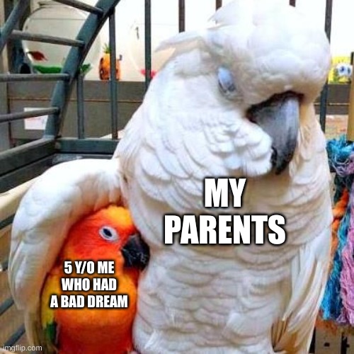 Cockatoo hugging Sun Conure | MY PARENTS; 5 Y/O ME WHO HAD A BAD DREAM | image tagged in cockatoo hugging sun conure | made w/ Imgflip meme maker