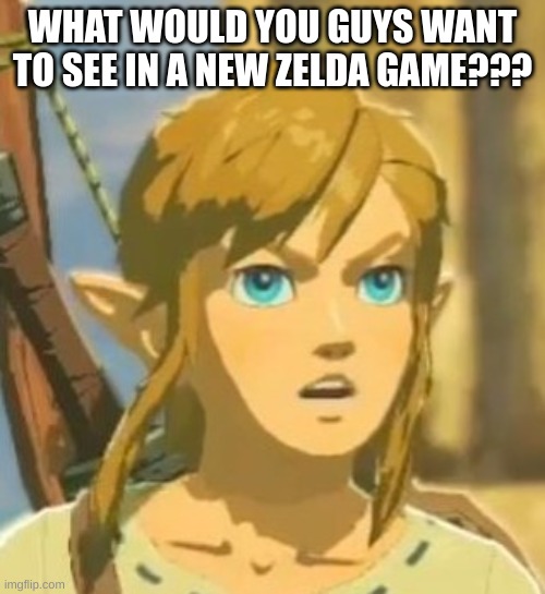 My friend said that they should somehow have link or zelda (Preferably link) gets taken over by gannon and then the other one (Z | WHAT WOULD YOU GUYS WANT TO SEE IN A NEW ZELDA GAME??? | image tagged in offended link,link | made w/ Imgflip meme maker