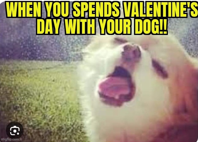 Valentine's Day! | image tagged in valentine's day | made w/ Imgflip meme maker