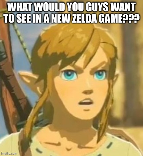 My friend said that they should somehow have link or zelda (Preferably link) gets taken over by gannon and then the other one sa | image tagged in confused link | made w/ Imgflip meme maker