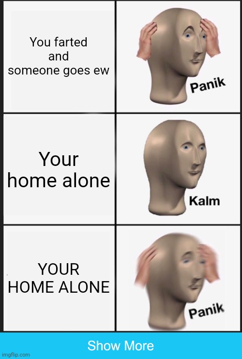 There's more! | You farted and someone goes ew; Your home alone; YOUR HOME ALONE | image tagged in memes,panik kalm panik,show more | made w/ Imgflip meme maker