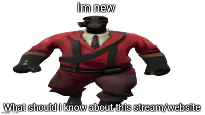 Im lost ;-; | Im new; What should i know about this stream/website | image tagged in ''hey guys tf2 pyro here'' but better | made w/ Imgflip meme maker