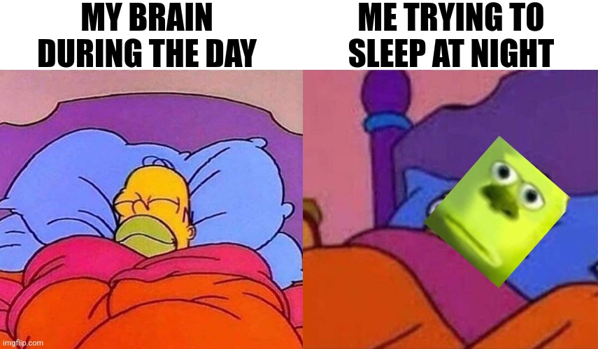 MY BRAIN DURING THE DAY; ME TRYING TO SLEEP AT NIGHT | image tagged in homer simpson sleeping peacefully,angry homer simpson in bed | made w/ Imgflip meme maker
