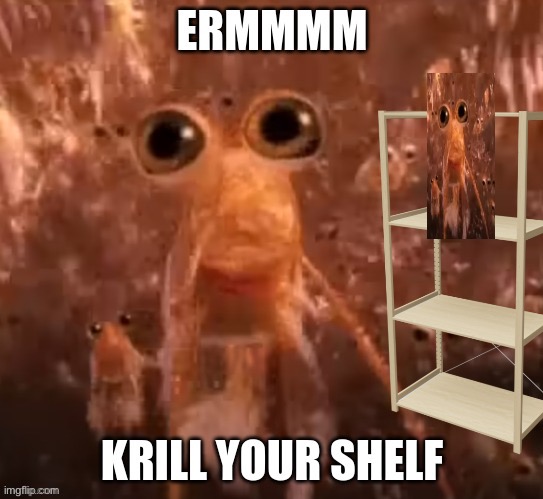 Krill your shelves | image tagged in yes | made w/ Imgflip meme maker