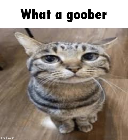 Used in comment 5 seconds ago | image tagged in what a goober | made w/ Imgflip meme maker