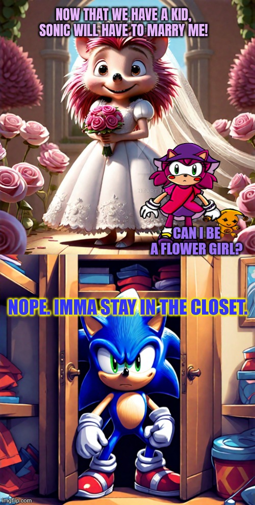 But why? Why would you do that? | NOW THAT WE HAVE A KID, SONIC WILL HAVE TO MARRY ME! CAN I BE A FLOWER GIRL? NOPE. IMMA STAY IN THE CLOSET. | image tagged in amy rose,buys,a,wedding,dress | made w/ Imgflip meme maker