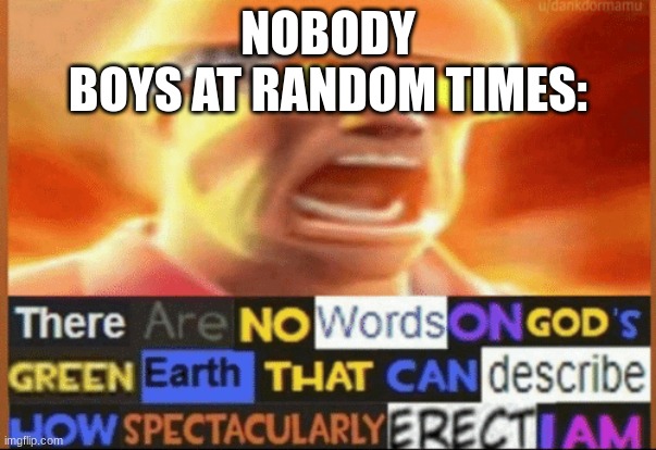there are no words on god's green earth | NOBODY
BOYS AT RANDOM TIMES: | image tagged in there are no words on god's green earth | made w/ Imgflip meme maker