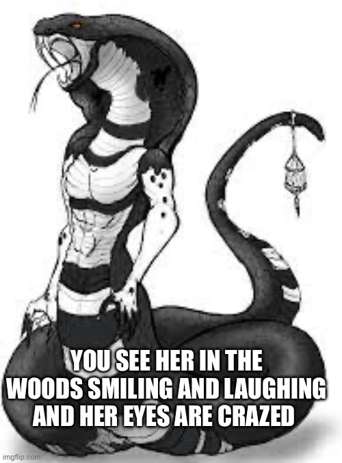 No erp a little romantic stuff | YOU SEE HER IN THE WOODS SMILING AND LAUGHING AND HER EYES ARE CRAZED | image tagged in nori | made w/ Imgflip meme maker
