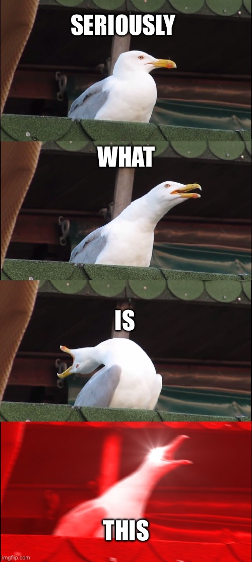 Inhaling Seagull Meme | SERIOUSLY WHAT IS THIS | image tagged in memes,inhaling seagull | made w/ Imgflip meme maker