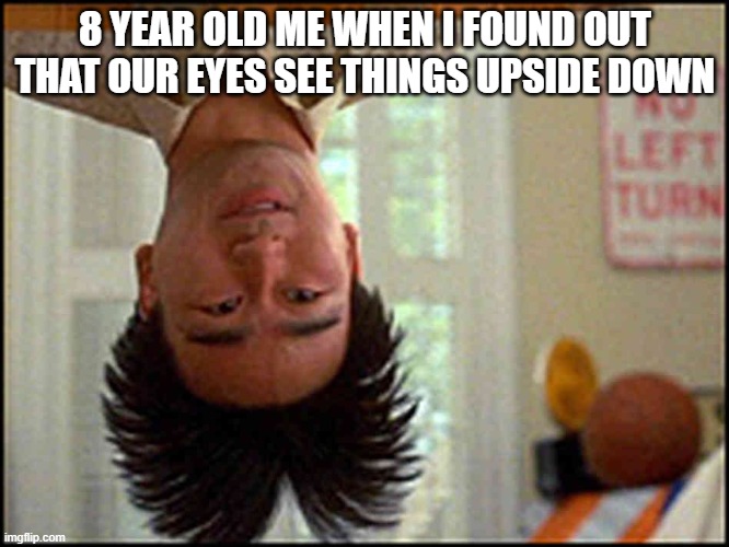 Eyes... sorta | 8 YEAR OLD ME WHEN I FOUND OUT THAT OUR EYES SEE THINGS UPSIDE DOWN | image tagged in long duck dong upside down | made w/ Imgflip meme maker