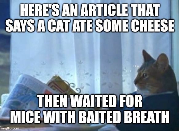 I Should Buy A Boat Cat Meme | HERE'S AN ARTICLE THAT SAYS A CAT ATE SOME CHEESE; THEN WAITED FOR MICE WITH BAITED BREATH | image tagged in memes,i should buy a boat cat | made w/ Imgflip meme maker