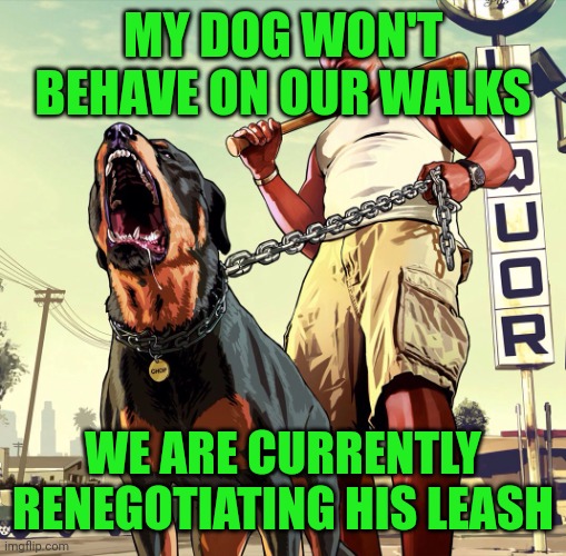 Dog walk | MY DOG WON'T BEHAVE ON OUR WALKS; WE ARE CURRENTLY RENEGOTIATING HIS LEASH | image tagged in dog walk | made w/ Imgflip meme maker