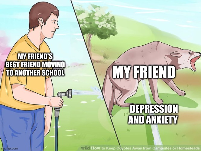 my friend is like that | MY FRIEND'S BEST FRIEND MOVING TO ANOTHER SCHOOL; MY FRIEND; DEPRESSION AND ANXIETY | image tagged in wikihow spraying the dog | made w/ Imgflip meme maker