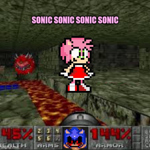 Rare doom wads. | SONIC SONIC SONIC SONIC | image tagged in doom,wads,sonic the hedgehog,amy rose,get the gun | made w/ Imgflip meme maker