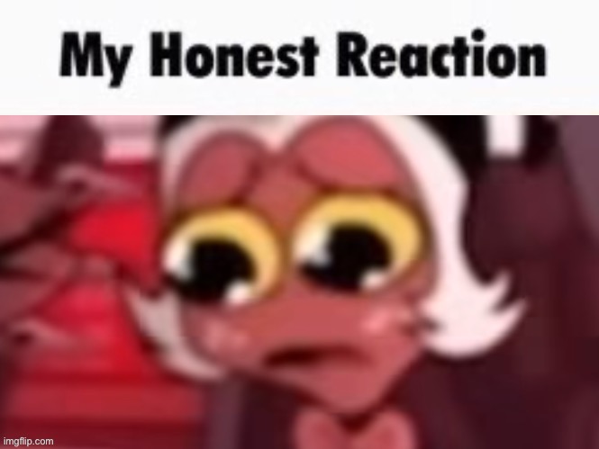 my honest reaction | image tagged in my honest reaction | made w/ Imgflip meme maker