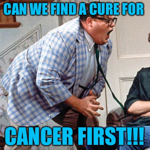 Chris Farley For the love of god | CAN WE FIND A CURE FOR; CANCER FIRST!!! | image tagged in chris farley for the love of god,cancer,disease,healthcare,political memes,science | made w/ Imgflip meme maker