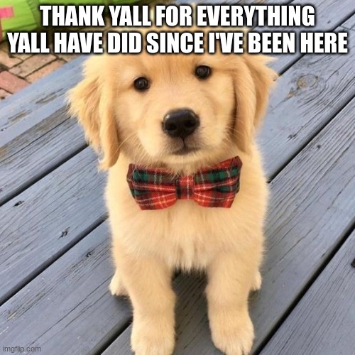 hello | THANK YALL FOR EVERYTHING YALL HAVE DID SINCE I'VE BEEN HERE | image tagged in hello | made w/ Imgflip meme maker