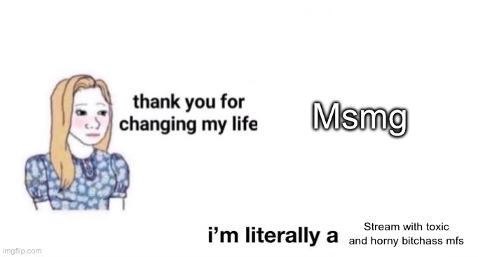 thank you for changing my life | Msmg Stream with toxic and horny bitchass mfs | image tagged in thank you for changing my life | made w/ Imgflip meme maker