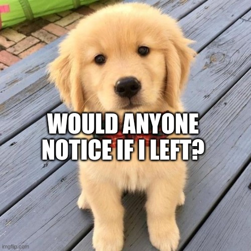 hello | WOULD ANYONE NOTICE IF I LEFT? | image tagged in hello | made w/ Imgflip meme maker
