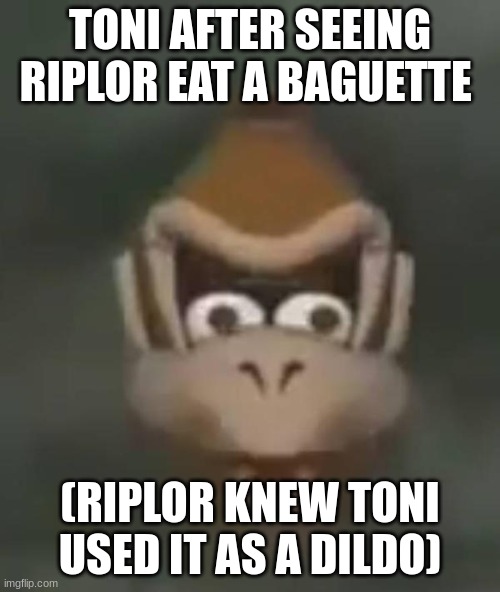 donkey kong shocked | TONI AFTER SEEING RIPLOR EAT A BAGUETTE; (RIPLOR KNEW TONI USED IT AS A DILDO) | image tagged in donkey kong shocked | made w/ Imgflip meme maker