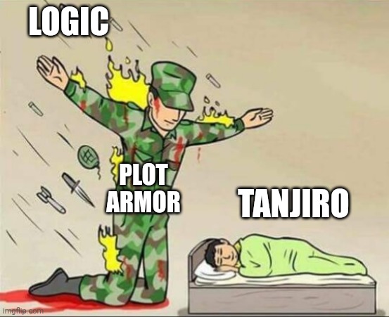Demon slayer meme | LOGIC; PLOT ARMOR; TANJIRO | image tagged in soldier protecting sleeping child | made w/ Imgflip meme maker