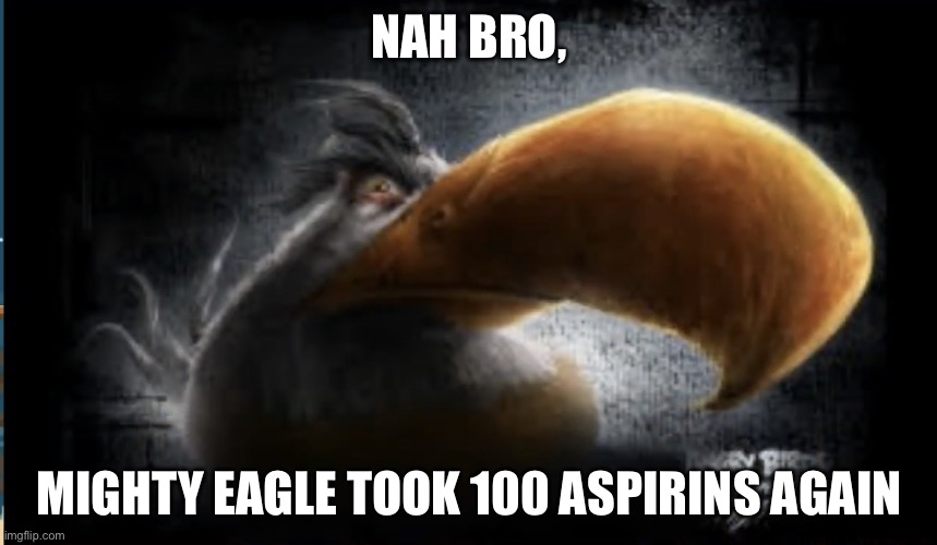 Realistic Mighty Eagle | NAH BRO, MIGHTY EAGLE TOOK 100 ASPIRINS AGAIN | image tagged in realistic mighty eagle | made w/ Imgflip meme maker