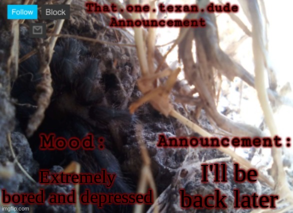 THE that.one.texan.dude announcement template | Extremely bored and depressed; I'll be back later | image tagged in the that one texan dude announcement template | made w/ Imgflip meme maker